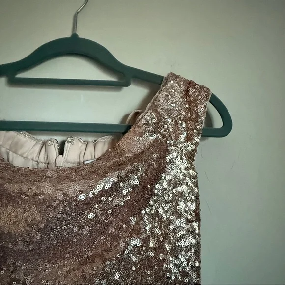 Theia Rose Gold Gemma Sleeveless Cut Sequin Embellishment Maxi Gown Size 4 - Picture 6 of 10